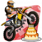 Mad Skills Motocross 2 2.8.0 APK