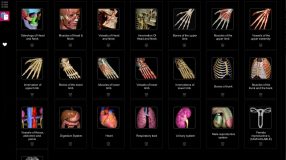 Anatomy Learning - 3D Atlas screenshot 1