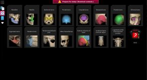 Anatomy Learning - 3D Atlas screenshot 3